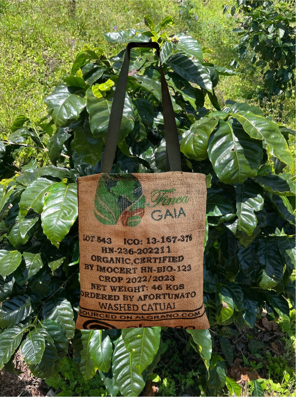 BOLSA GAIA