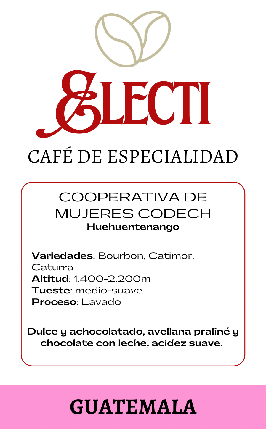 GUATEMALA CODECH